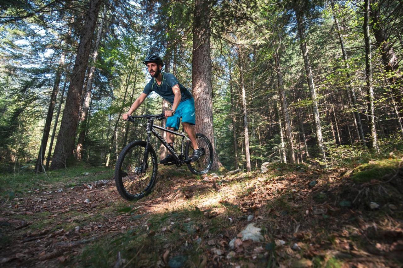 Da Elda Natural Retreat Lenzumo di Concei Zewnętrze zdjęcie